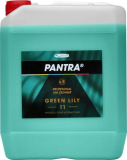 Pantra profesional 11